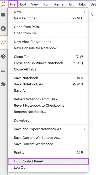 JupyterLab expanded File menu - Hub Control Panel is highlighted with a surrounding purple box